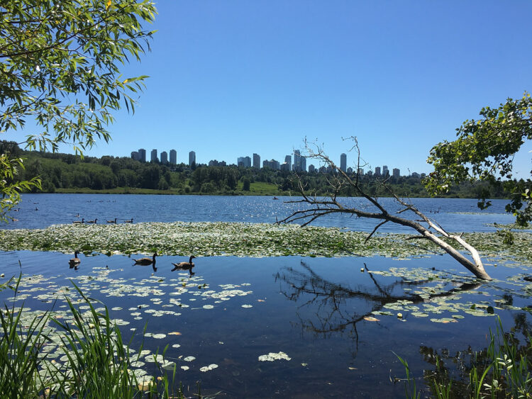 Scrap car removal burnaby