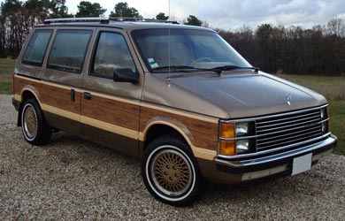 New West junk van removal