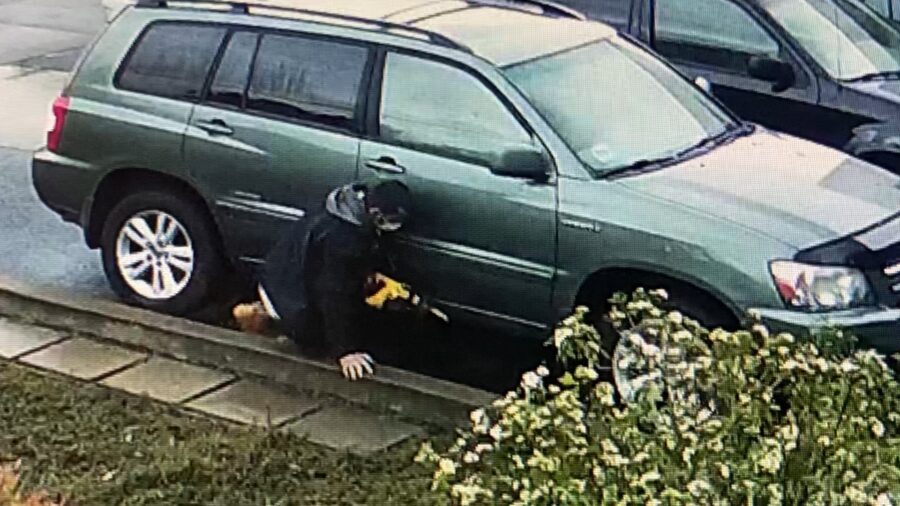 Someone stealing a catalytic converter